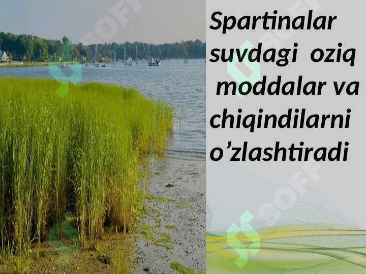 Barqaror  baliqchilik  xo’jaligi 7