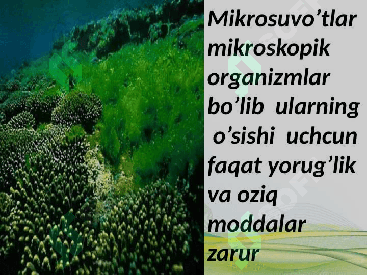 Barqaror  baliqchilik  xo’jaligi 8