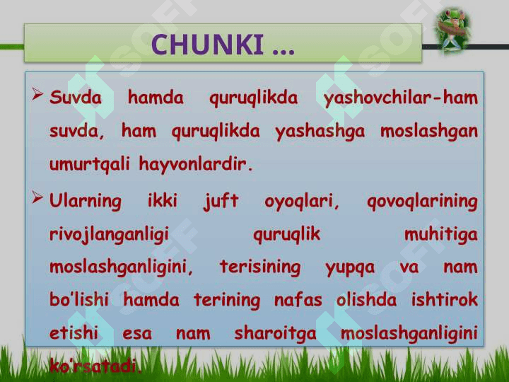 SUVDA HAMDA QURUQLIKDA YASHOVCHILAR SINFI 2