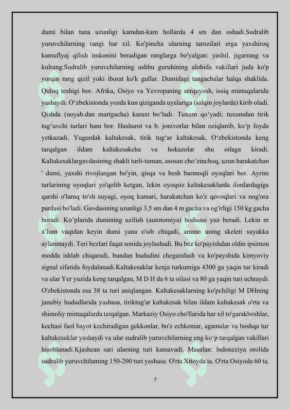 Kaltakesaklar 8