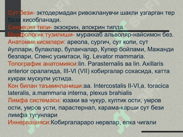 Сут бези 3
