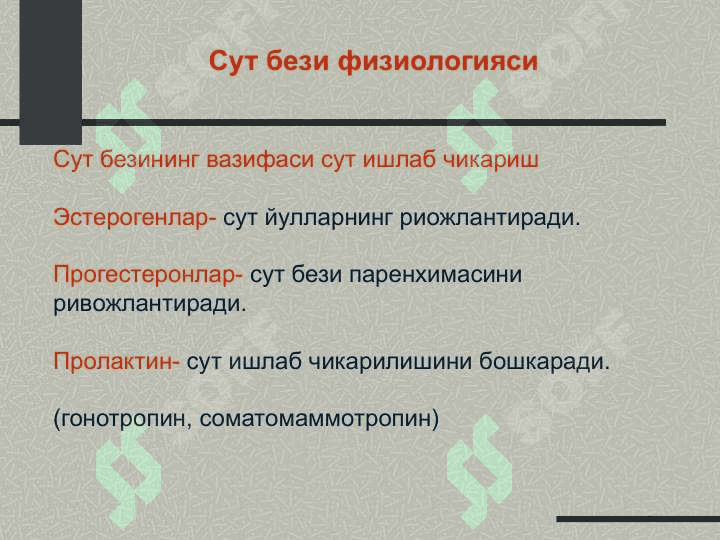 Сут бези 4