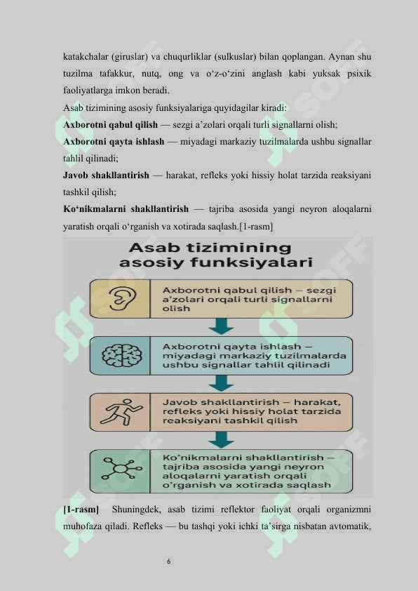 Asab tizimi haqida umumiy tushuncha va uning tuzilishi psixafiziologiyasi  mustaqil ish 6