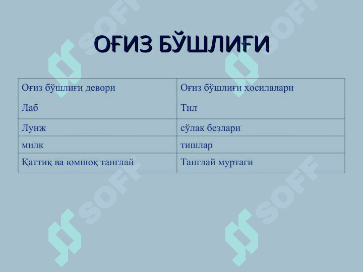 ОВҚАТ ХАЗМ ҚИЛИШ СИСТЕМАСИ. ОҒИЗ БЎШЛИҒИ АЪЗОЛАРИ 7
