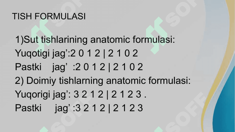 Tish belgilari norma va patologiyasi 5