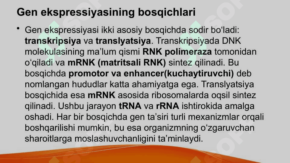 Genlar ta'sirini boshqarilishi hujayra differensirovkasi 4