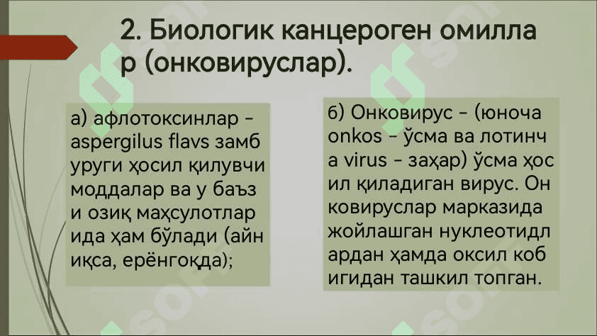 Усма хужайраларини келиб чикишидаги ахамияти 8