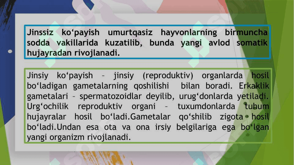 Hayvonlarni ko’payishi va rivojlanishi 2