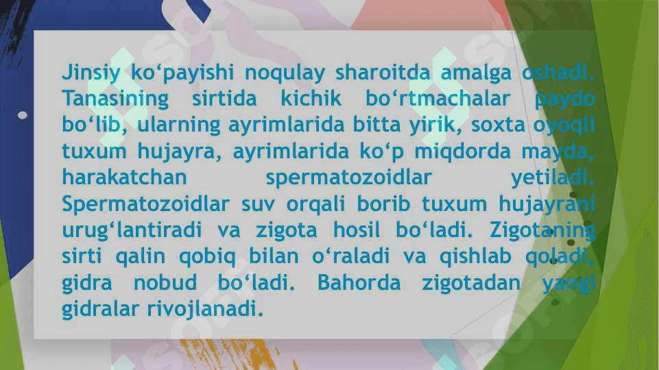Hayvonlarni ko’payishi va rivojlanishi 4