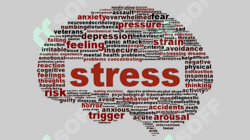 Stress psixofiziologiyasi 5