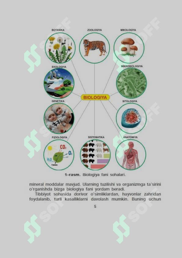 5- sinf Biologiya 5