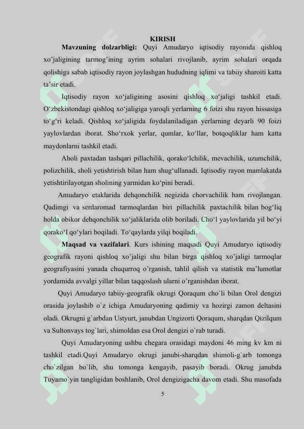 Quyi Amudaryo iqtisodiy rayoni qishloq xo’jaligi.docx 5