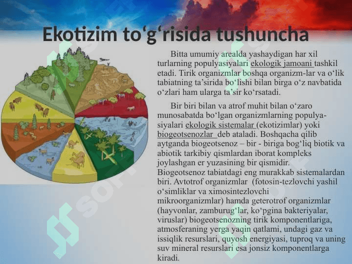 Ekotizim 2