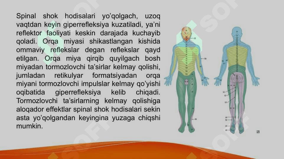 Orqa miyaning reflektor va o’tkazuvchi yo’l faoliyati, tekshirish usullari. Uzunchoq miya va o’rta miya 5