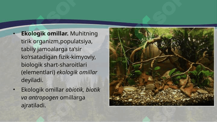 Ijtimoiylashuv omillari va vositalari. Tirik organizmlarning yashash muhiti uning tirik  va  anorganik tarkibiy qismlari hisoblanadigan ekologik omillar bilan tavsiflanadi. 3
