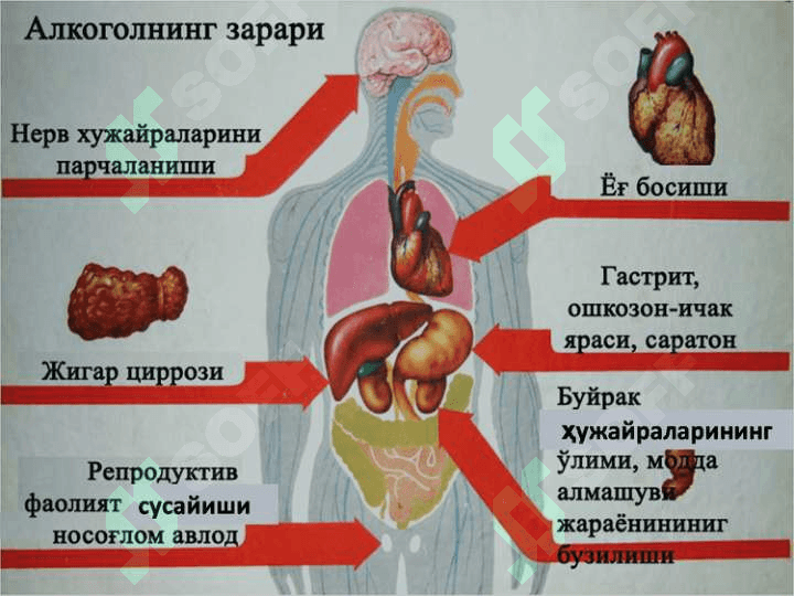 Bolalarning spirtli ichimliklar ichishning sabab va oqibatlari 4