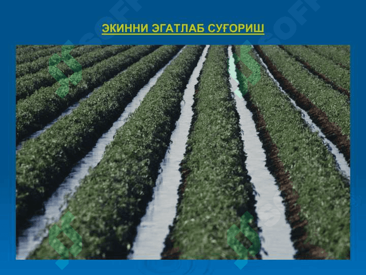 ЭPНИ СУҒОРИШ УСУЛЛАРИ ВА ИНЛАРТЕХНИКАСИ 8