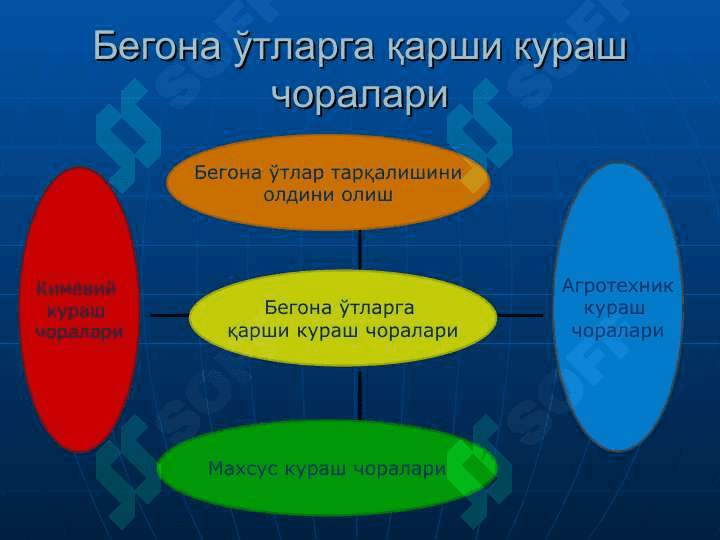 БЕГОНА ЎТЛАРГА ҚАРШИ КУРАШ ЧОРАЛАРИ 3
