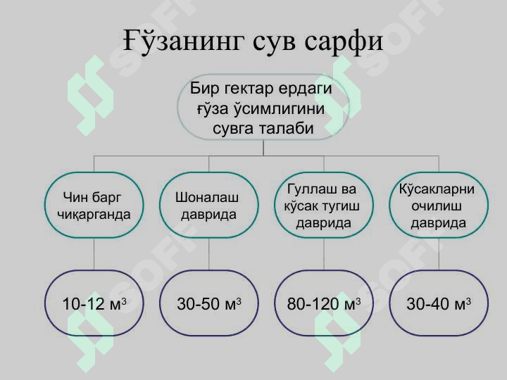 ТУПРОҚНИНГ ҲАВО ВА ИССИҚЛИК РЕЖИМЛАРИ ҲАМДА УЛАРНИ БОШҚАРИШ 5
