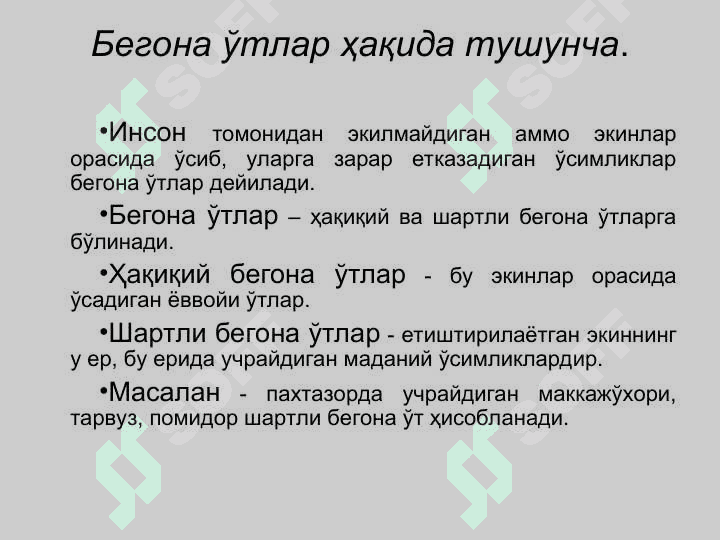 Бегона ўтлар, уларнинг зарари ва биологик хусусиятлари ҳамда уларга қарши кураш чоралари 2