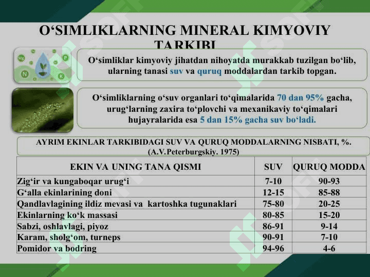 O‘SIMLIKLARNING KIMYOVIY TARKIBI VA OZIQLANISHI 2