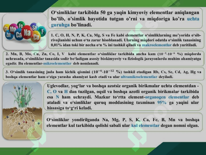 O‘SIMLIKLARNING KIMYOVIY TARKIBI VA OZIQLANISHI 4