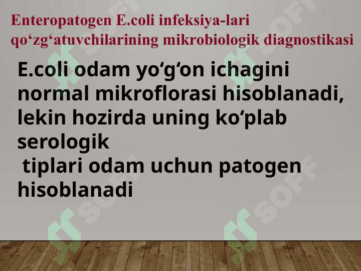 Ichak infeksiyalari. 6