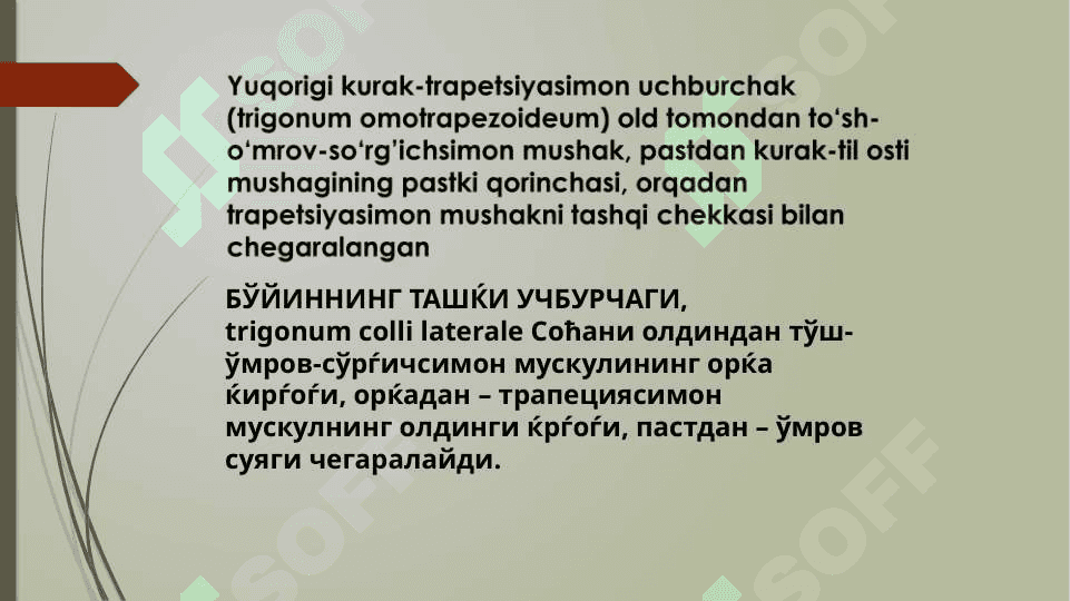 Kurak-trapetsiyasimon uchburchagi topografiyasi. 2