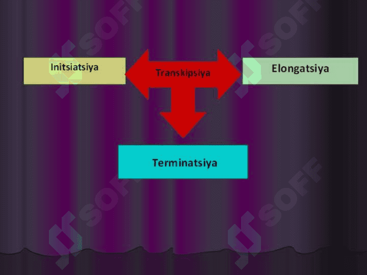 RNK protsessingi 3