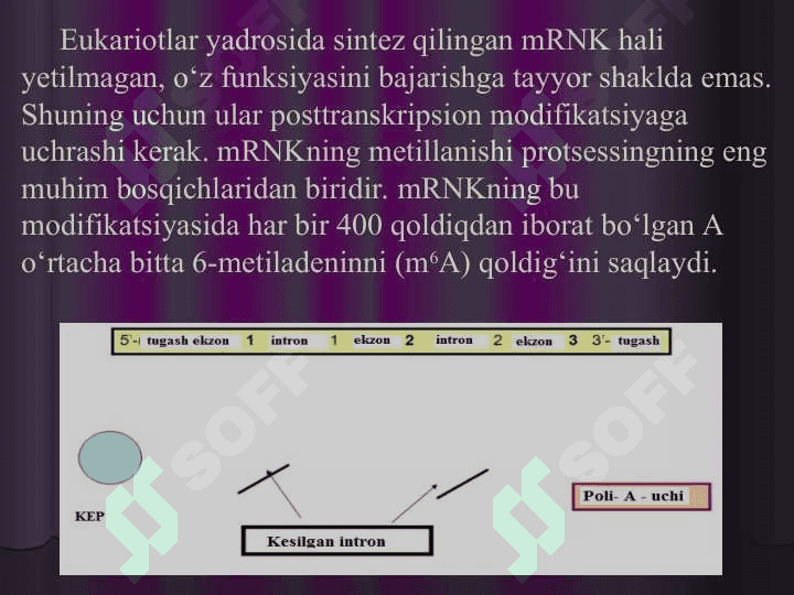 RNK protsessingi 8