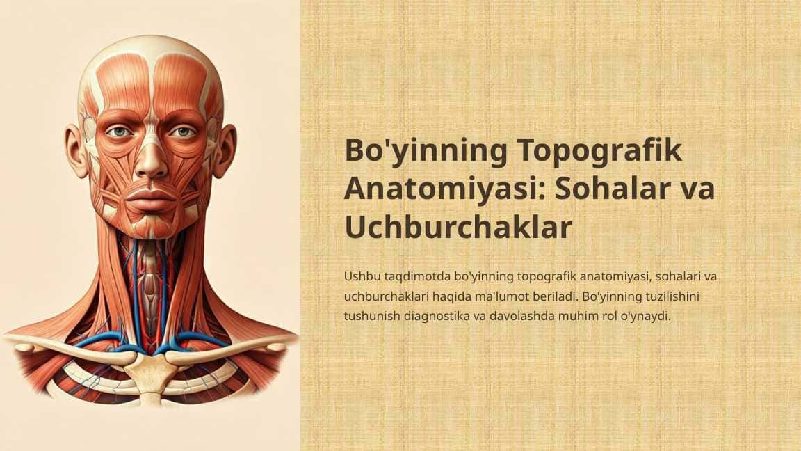 Bo'yinning topografik anatomiyasi. 1