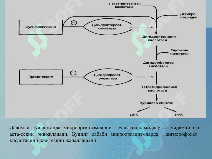 СУЛФАНИЛАМИД ПРЕПАРАТЛАРИ 6