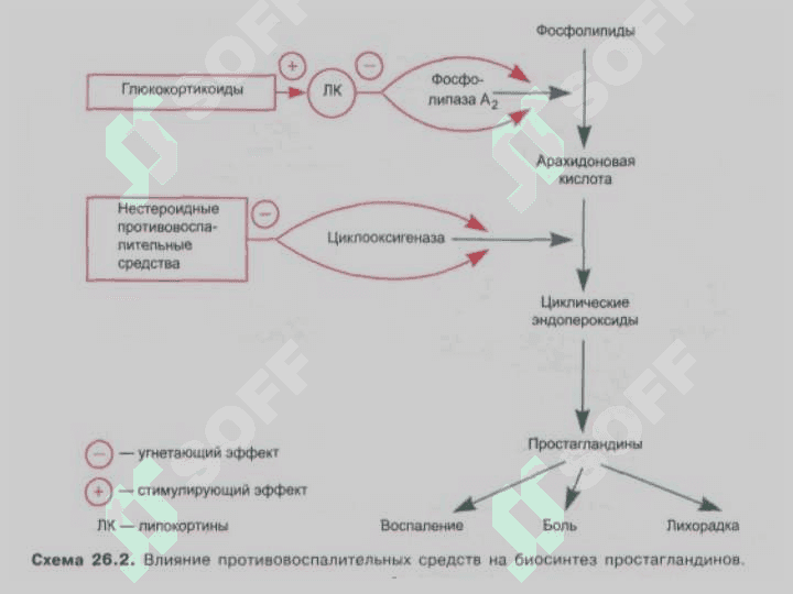 Яллиғланишга қарши воситалар 5
