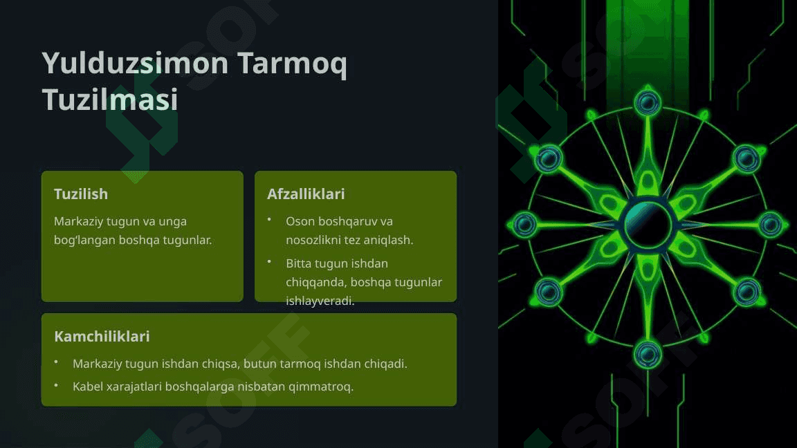 Ma'lumotlar Tarmoq Tuzilmalari: Kirish 2