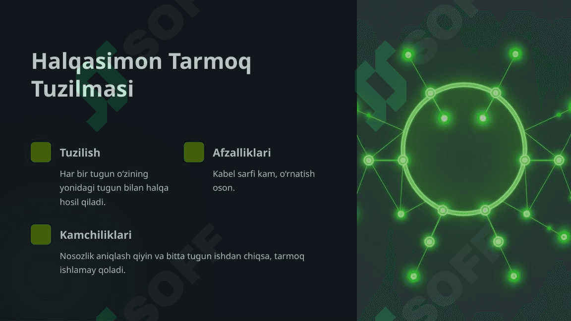 Ma'lumotlar Tarmoq Tuzilmalari: Kirish 3