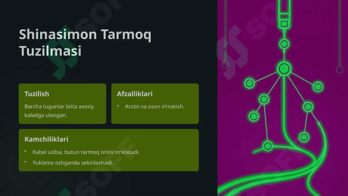 Ma'lumotlar Tarmoq Tuzilmalari: Kirish 4
