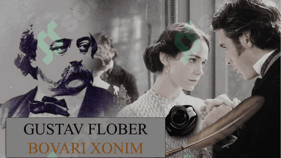 Bovari xonim romanida ijtimoiy siyosat 3