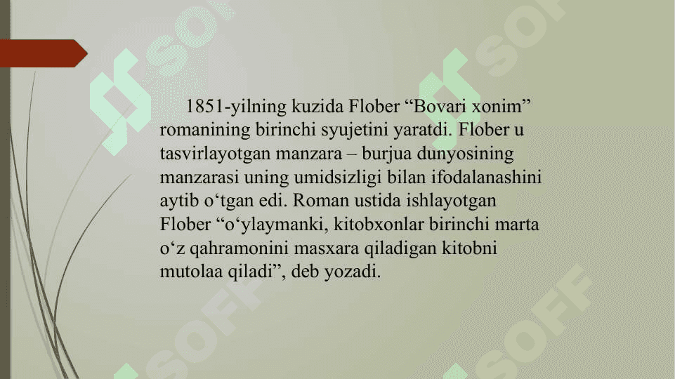 Bovari xonim romanida ijtimoiy siyosat 4