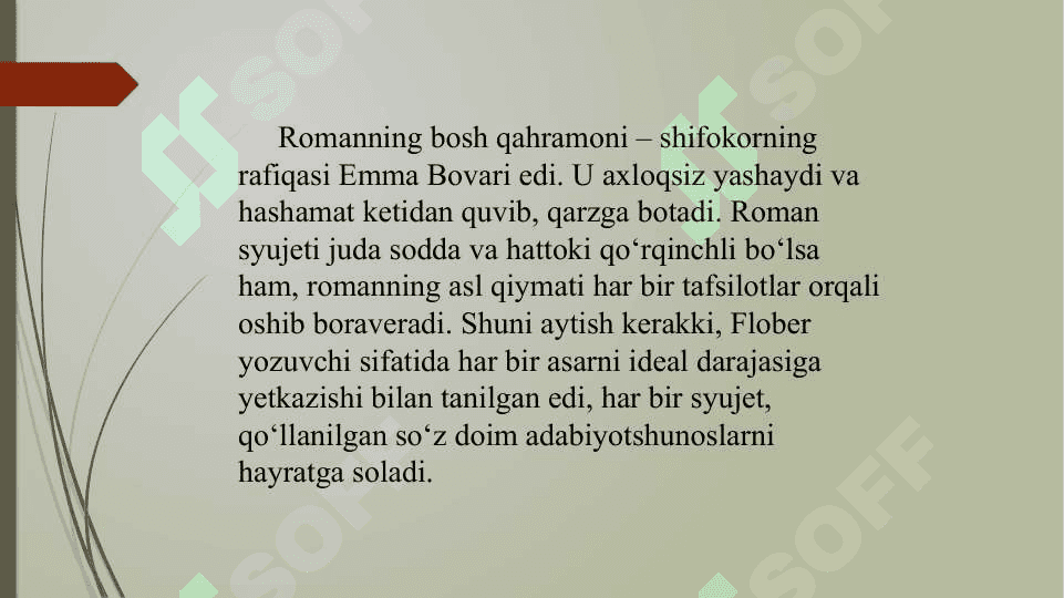 Bovari xonim romanida ijtimoiy siyosat 5