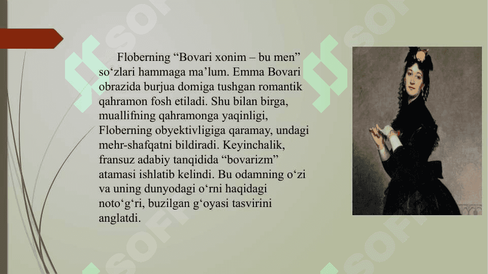 Bovari xonim romanida ijtimoiy siyosat 7
