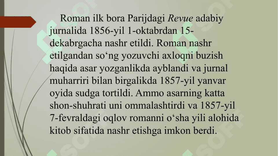 Bovari xonim romanida ijtimoiy siyosat 8