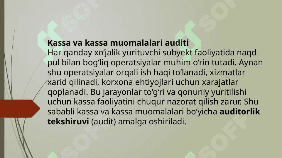 KASSA VA KASSA MUOMALALARI AUDITI. 2