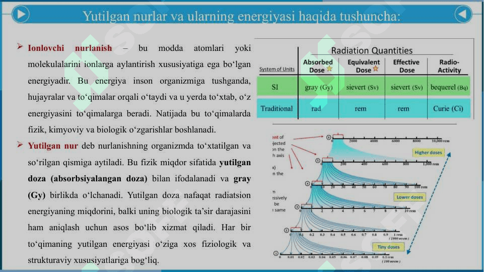 Yutilgan nurlar energiyasini dozimetrik baholash. Turli nurlarni odam tanasida taqsimlanishi. - Ютилган нурлар энергиясини дозиметрик баҳолаш. Турли нурларни одам танасида тақсимланиши. 3