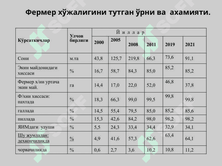 Fermer xojaligida faoliyatida biznesrejalashtirish 4