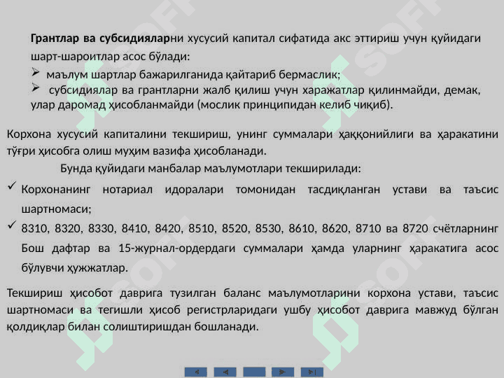 Хусусий капитал аудити 3
