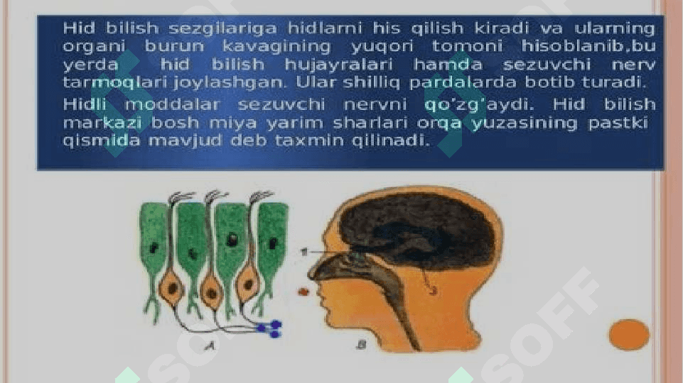 Shaxsning ijtimoiy borliqni bilishi. 6