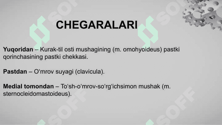 Ko'krak-o'mrov uchburchagi topografiyasi 3
