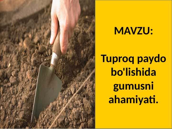 Tuproq paydo bo'lishida gumusni ahamiyati