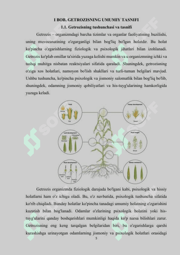 "Geterozis" mavzusida kurs ishi 5