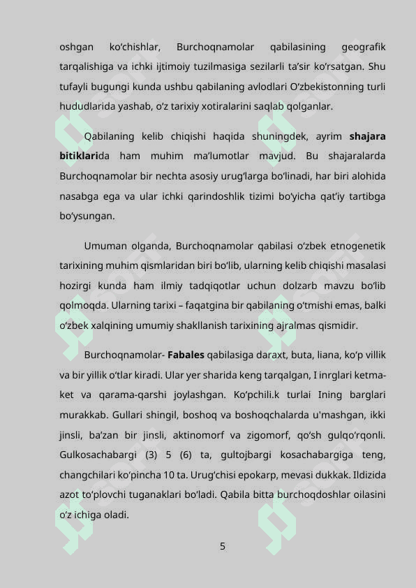 Burchoqnamolar qabilasi. Qabilaga kiruvchi oila va ularning ahamiyati haqida 5